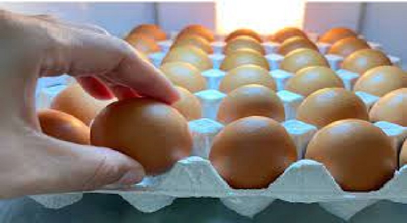 இறக்குமதி செய்யப்பட்ட முட்டைகளை சில்லறை சந்தையில் விற்பனை செய்வதற்கு அனுமதி