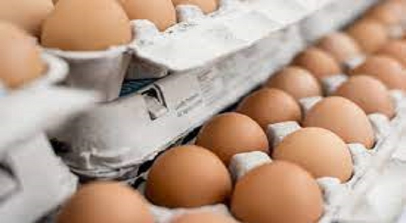 முட்டை இறக்குமதியை மேலும் விரிவுபடுத்த நடவடிக்கை