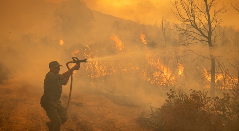 கஜகஸ்தானில் ஏற்பட்ட காட்டுத் தீயில் சிக்கி 14 பேர் உயிரிழப்பு!