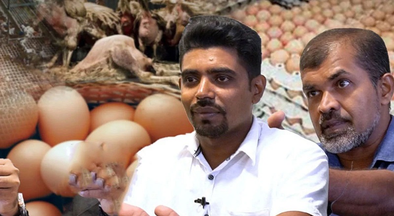 இந்திய முட்டைகள் மூலம் பறவைக் காய்ச்சல் பரவும் அபாயம்!