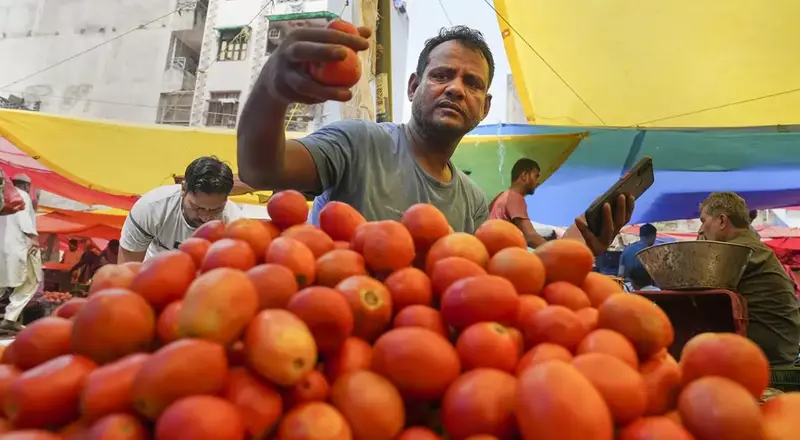 கோயம்பேடு சந்தையில் முதல் ரக தக்காளியின் விலை 120 ரூபாய்க்கு விற்கப்படுகிறது!