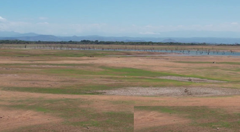 குறைந்து வரும் நீர்மட்டம் : பாரிய சவால்களை சந்திக்கும் விவசாயிகள்!
