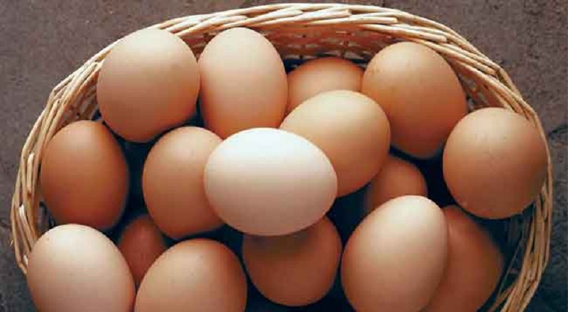 முட்டை இறக்குமதி தொடரும்!