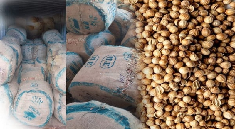 கொத்தமல்லி என்ற போர்வையில் பீடி இலைகள் இறக்குமதி!