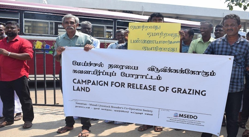 பலமுறை கோரிக்கை வைத்தும் அரசியல் வாதிகள் பாராமுகம் : போராட்டத்தில் இறங்கிய கால்நடை வளர்ப்பாளர்கள்!