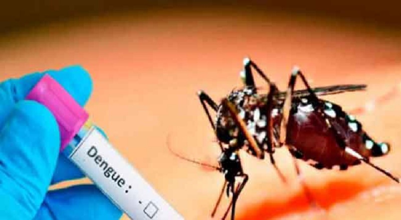 நாட்டில் 70 ஆயிரம் டெங்கு தொற்றாளர்கள் பதிவு!