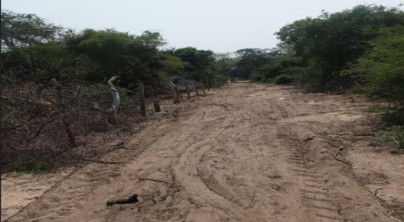 மன்னார் ஓலைத்தொடுவாய் பகுதியில் காணிகள் அபகரிக்கப்படுவதாக குற்றச்சாட்டு!