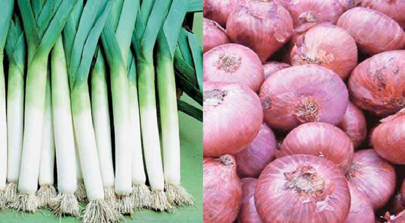 வெங்காயத்தின் விலை உயர்வு : மாற்றுப் பொருட்களை பயன்படுத்தும் மக்கள்!