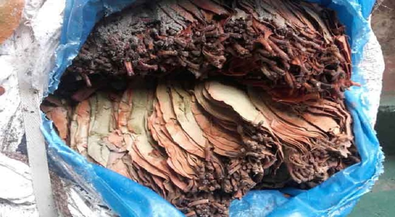 கைவிடப்பட்ட நிலையில் இருந்த ஒருதொகை பீடி இலைகள் கண்டுப்பிடிப்பு!