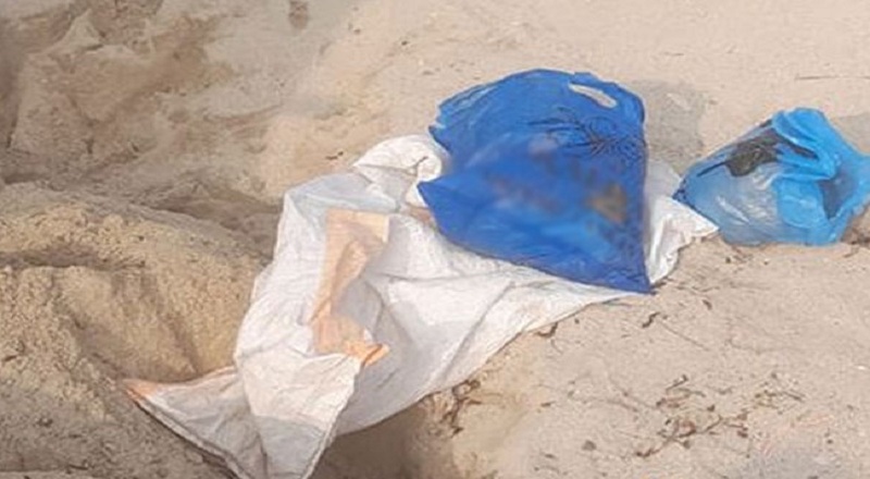 யாழ்ப்பாணத்தில் புதைக்கப்பட்டிருந்த கேரள கஞ்சா மீட்பு!