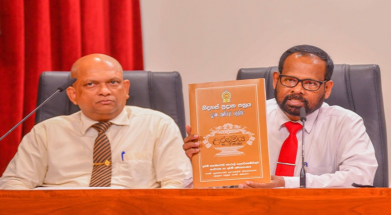 10,000 பேருக்கு இலவச காணி பத்திரங்கள் வழங்க நடவடிக்கை  : ஜனாதிபதி பிறப்பித்த உத்தரவு!