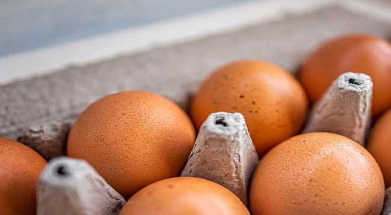 முட்டையின் விலை அதிகரிப்பு!