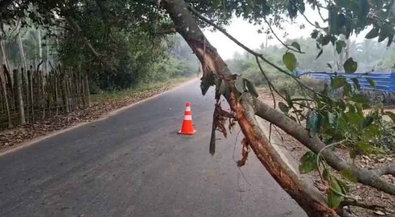 முல்லைத்தீவு - புதுக்குடியிருப்பு பகுதியில் விபத்து : ஒருவர் உயிரிழப்பு!