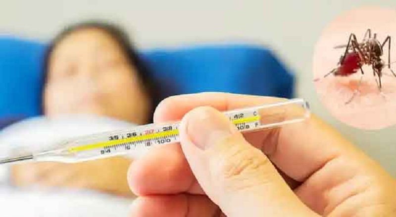 இலங்கையில் அதிகரித்துவரும் டெங்கு தொற்றாளர்களி்ன் எண்ணிக்கை : விடுக்கப்பட்டுள்ள எச்சரிக்கை!