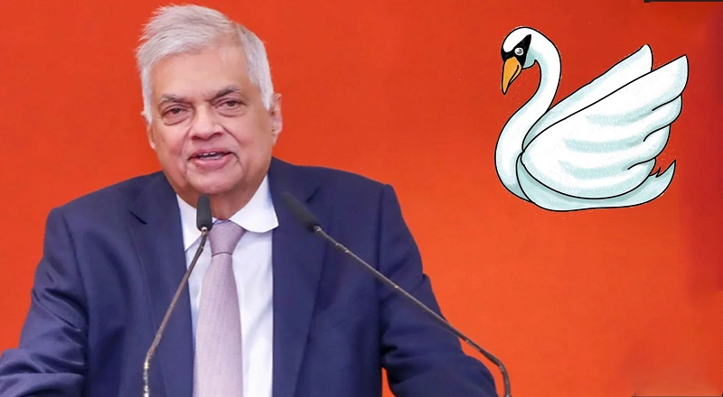 ஜனாதிபதி தேர்தலில் அன்னம் சின்னத்தில் களமிறங்கும் ரணில் விக்கிரமசிங்க!