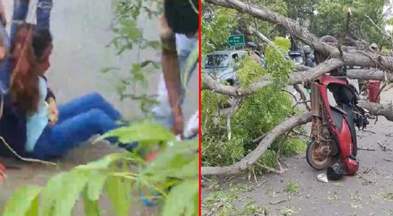 வீதியில் பயணித்த மோட்டார் சைக்களில் மீது மரம் முறிந்து விழுந்து விபத்து : ஒருவர் பலி!