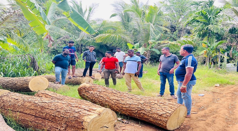 வவுனியாவில் மரக் குற்றிகளுடன் ஒருவர் கைது!