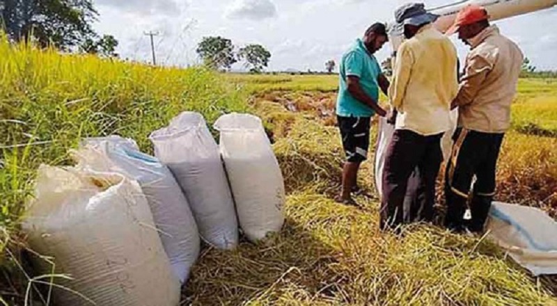 சிறு மற்றும் நடுத்தர நெல் ஆலை உரிமையாளர்களுக்கு மானிய வட்டியில் கடன் வழங்க திட்டம்!