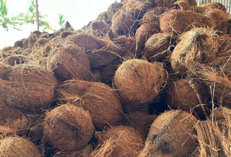 தேங்காய் விலை அதிகரிப்பால் பலர் வேலைவாய்ப்பு இழப்பு!