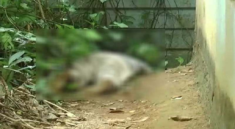 ஹோமாகமவில் வீட்டின் முன் அடையாளம் தெரியாத சடலம் ஒன்று கண்டெடுப்பு!