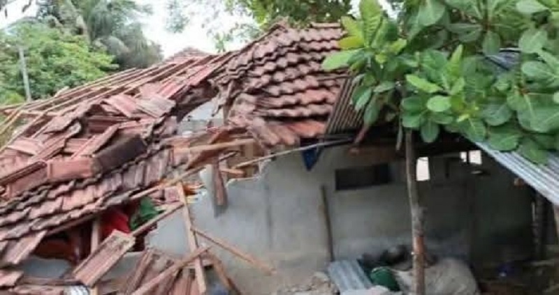மட்டக்களப்பு போரதீவுப்பற்றில் காட்டு யானை அட்டூழியம்