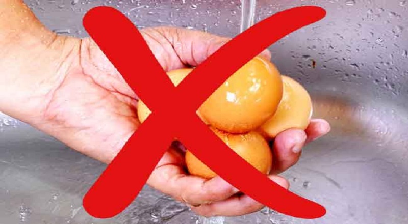 முட்டைகளைக் கழுவிய பின் சேமித்து  வைப்போருக்கு எச்சரிக்கை!