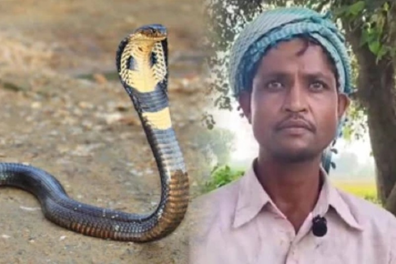 இரவில் பாம்பாக மாறி கொலை செய்ய முயற்சிக்கும் மனைவி: கணவன் புலம்பல்