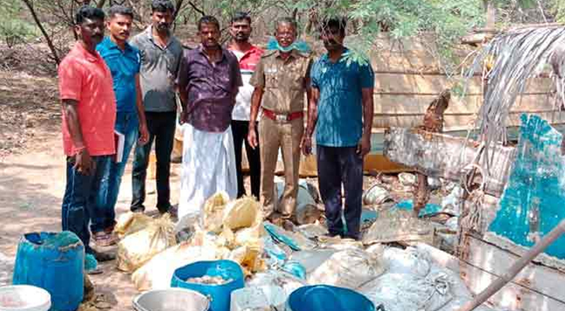 இலங்கைக்கு கடத்தப்படவிருந்த 2 தொன் கடல் அட்டைகள் பறிமுதல்