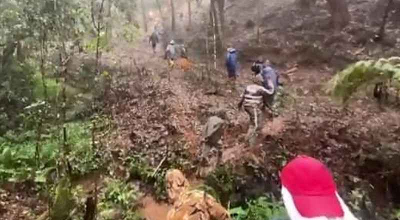 நுவரெலியா காட்டுப்பகுதியில் காணாமல் போன 26 வயதுடைய யுவதி மீட்பு