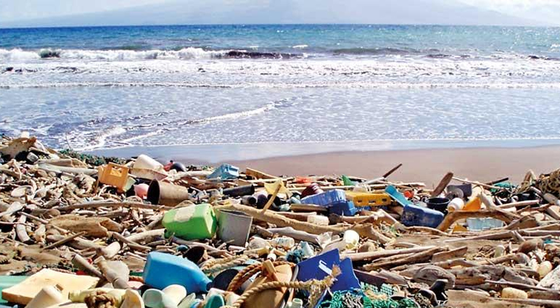 உலக நாடுகளில் 5வது இடத்தை பிடித்துள்ள இலங்கை! - ஆய்வுகளை மேற்கொள்ளத் தீர்மானம்...