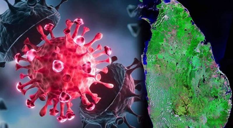 இலங்கையின் கொரோனா திரிபு உலக நாடுகளுக்கும் பரவியது !