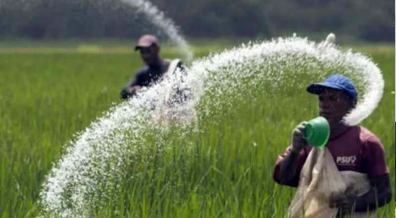 சீனாவிலிருந்து இலங்கைக்கு இறக்குமதி செய்யப்படவிருந்த உரம் தொடர்பில் வெளியான அதிர்ச்சி தகவல்!