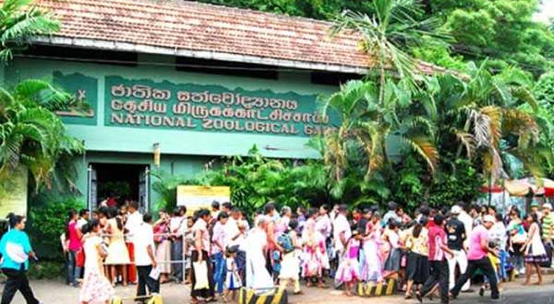 தேசிய மிருகக்காட்சிசாலை திணைக்கள பணிப்பாளர் நாயகம் இராஜினாமா!