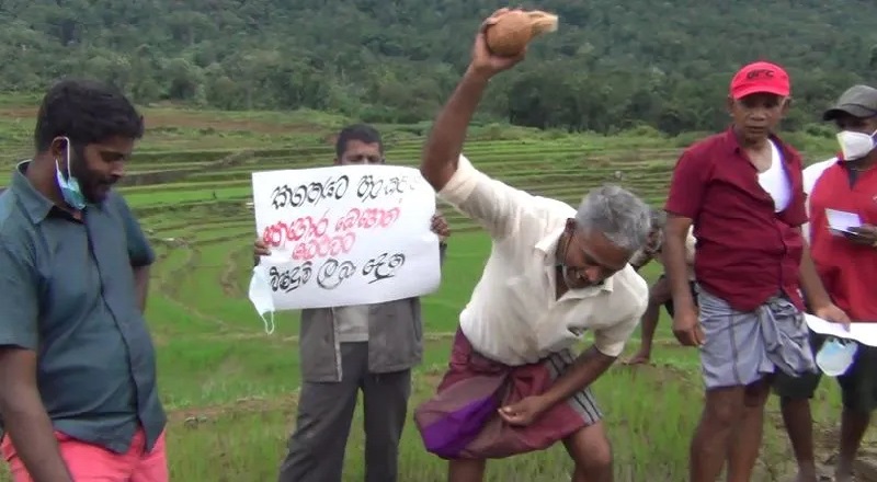 உரத்திற்காக தேங்காய் உடைத்து விவசாயிகள் போராட்டம்