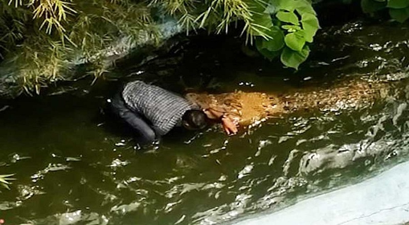 பொம்மை முதலை என நினைத்து செல்பி எடுக்க முயன்றதால் விபரீதம்