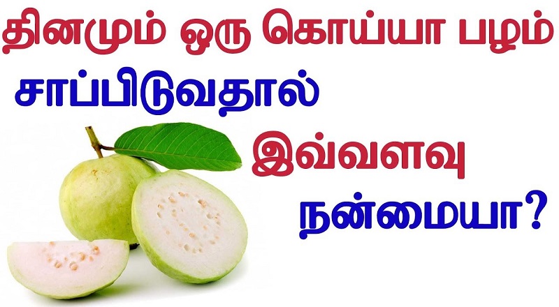 விந்து உற்பத்தி அதிகரிக்க வைக்கும் கொய்யாபழம். மேலும் எதற்கு நல்லது தெரியுமா?