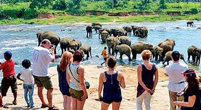 ஐரோப்பிய நாடுகளிலிருந்து நாட்டுக்கு படையெடுக்கும் அதிகளவான சுற்றுலா பயணிகள்!