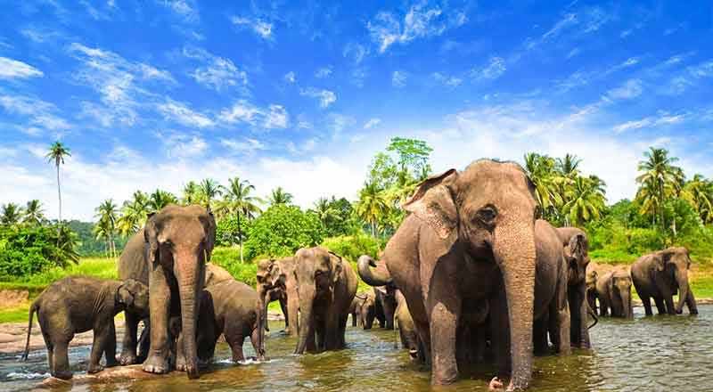  வடக்கில்  முதன்முறையாக சுற்றுலாச் சரணாலயம் அமைக்க நடவடிக்கை!    