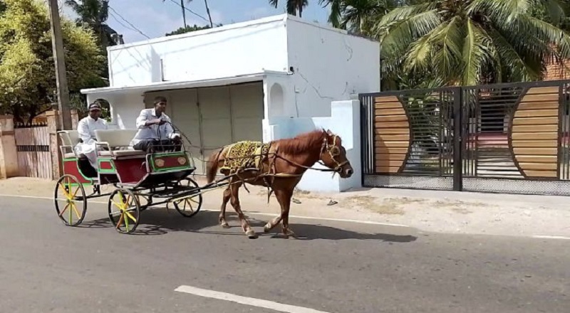 எரிபொருள் பற்றாக்குறையால் பாரம்பரிய குதிரை வண்டிகளை பயன்படுத்தும் யாழ் மக்கள்