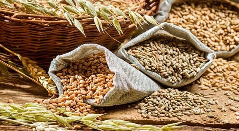 இந்திய கோதுமையை ஏற்றுமதி செய்ய தடை - ஐக்கிய அரபு அமீரகம் அதிரடி உத்தரவு
