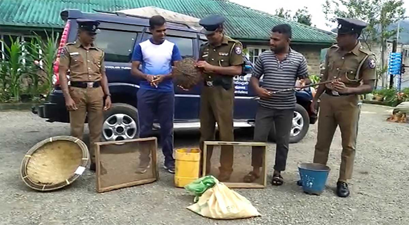 அனுமதியின்றி இரத்தினக்கல் தோண்டிய குழுவொன்று கைது