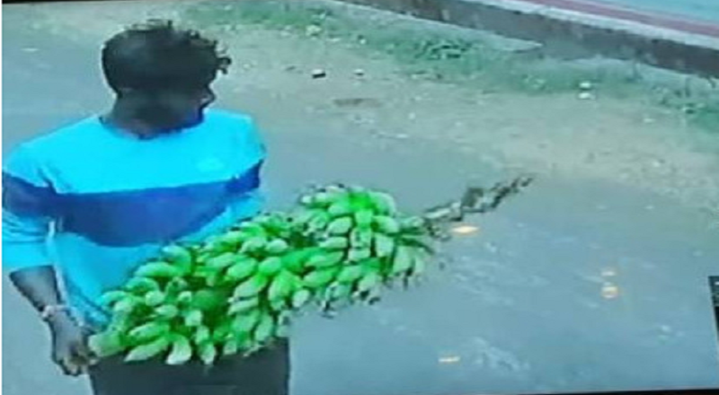 யாழ்ப்பாணம் கோண்டாவிலில் அமைந்துள்ள வீடொன்றின் பட்டப்பகலில் திருட்டு 