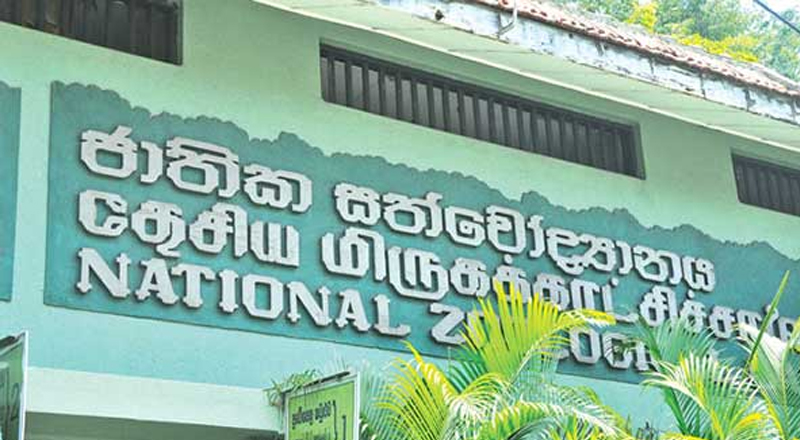 இன்று நாடு முழுவதும் உள்ள குழந்தைகளுக்கு உயிரியல் பூங்காக்கள் இலவசம்.. ஐஸ்கிரீம் மற்றும் பிஸ்கட்களும் இலவசம்...