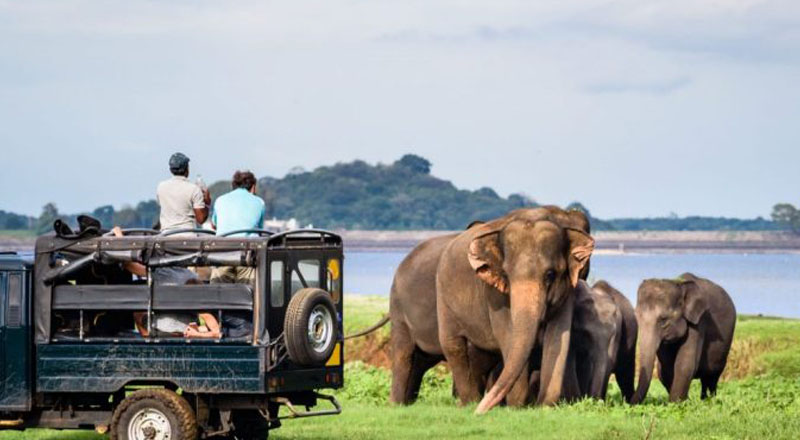 சுற்றுலாப் பயணிகளின் வருகை குறைவு: சுற்றுலா அபிவிருத்தி அதிகார சபை 