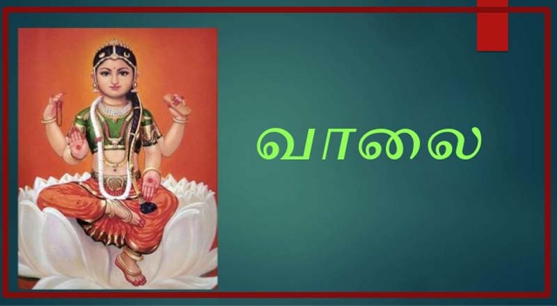 அம்மன் எனும் நம் தெய்வத்தாயின் மற்ற ரூபமான பாலாம்பிகை வரலாறு... பாகம் - 1