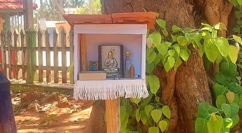 யாழ்ப்பாணம் நிலாவரைக் கிணற்றுக்கு அருகில் திடீரென வந்த புத்தர்!