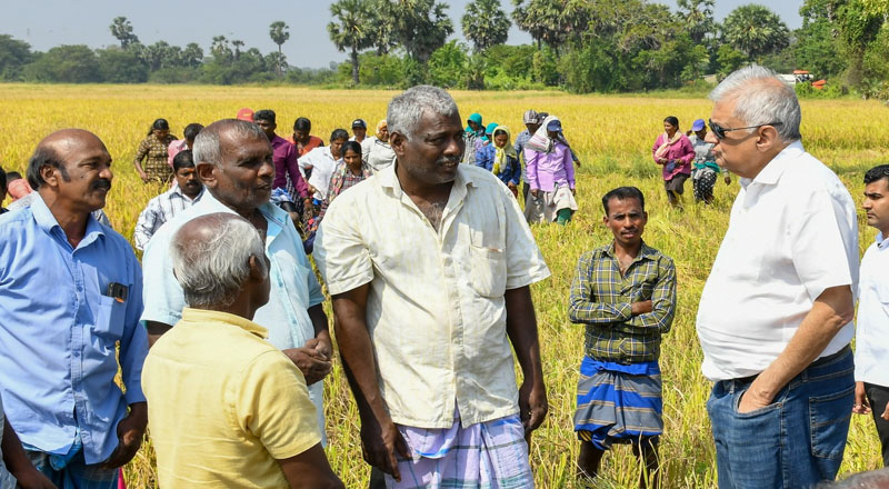 இருபது இலட்சம் குடும்பங்களுக்கு 10 கிலோ கிராம் அரிசியை இலவசமாக வழங்கும் திட்டம்: ஜனாதிபதி