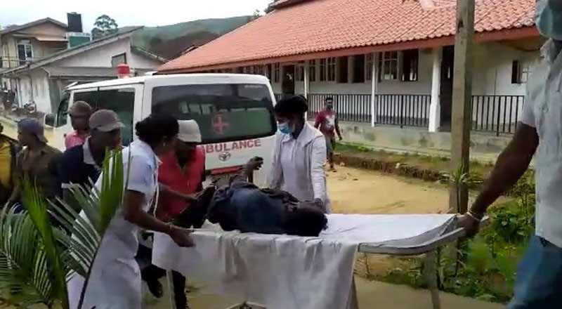 மலைப்புலி தாக்கியதில் தோட்டத் தொழிலாளி ஒருவர்  படுகாயம்
