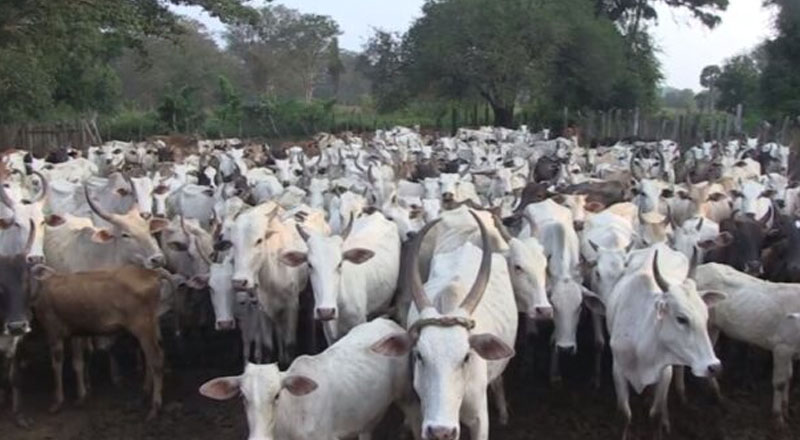 கிளிநொச்சியில் உடனடியாக அமுலுக்கு வரும் வகையில் விதிக்கப்பட்ட தடை உத்தரவு!