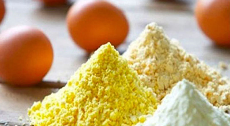 முட்டை தூள் மற்றும் திரவ முட்டைகளை இறக்குமதி செய்ய கலந்துரையாடல்